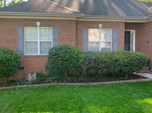 Bush Trimming by Dan Wintering for Scott B. in Charlotte, NC