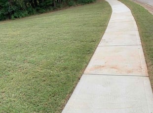 Lisa N.'s Lawn Care service result