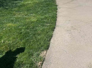 Tamars W.'s Lawn Care service result