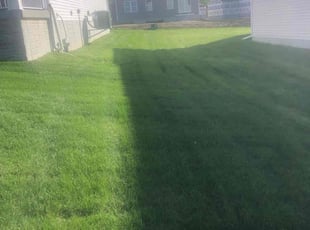 Katrina T.'s Lawn Care service result