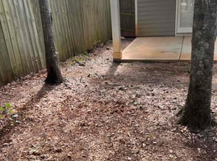 Leaf Removal by Taren Brown for Pernisha W. in Newnan, GA