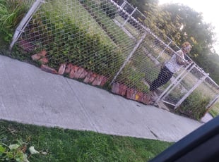 Cleanups by Willie Tisdel for Vickie C. in Cleveland, OH
