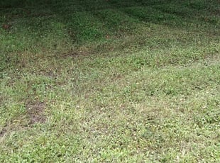 Cleanups by John Hernandez for Evan A. in Miami, FL