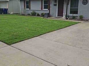 Tiffany M.'s Lawn Service service result