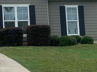 Bush Trimming by Chris Kearse for Nathan R. in Phenix City, AL