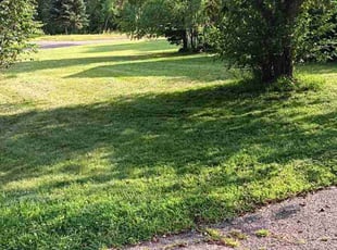 William C.'s Lawn Care service result