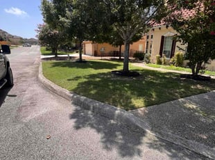 Ariana T.'s Lawn Maintenance service result