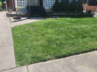 Leaf Removal by Eric Sandmann for Mel S. in Cincinnati, OH