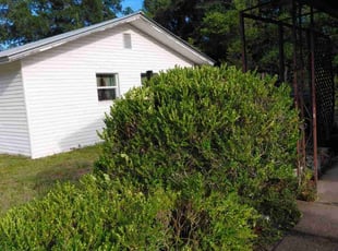 Bush Trimming by Christopher Jones for Debbie R. in DeFuniak Springs, FL