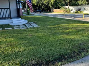 Nichole M.'s Lawn Care service result