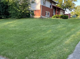 Shelly F.'s Lawn Care service result