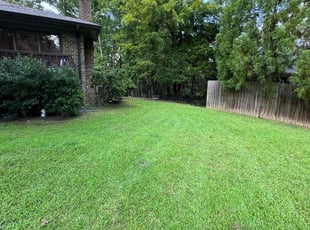 Lorraine E.'s Lawn Mowing Service service result