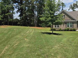 Virginia F.'s Lawn Mowing service result