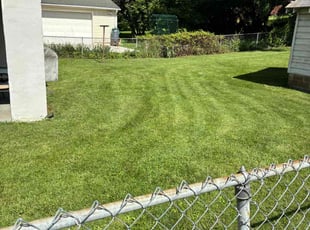 Debra P.'s Lawn Mowing service result