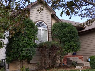 Cleanups by Adam Herridge for Ramesh U. in Wichita, KS