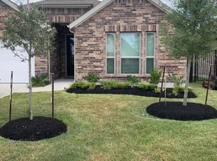 Mulching by Dulce Aguirre for Jenni R. in Houston, TX
