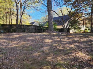 Leaf Removal by Gabriel Gray for Andre D. in Charlotte, NC