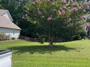Joshua B.'s Grass Cutting service result