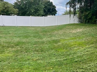 Diane F.'s Lawn Mowing service result