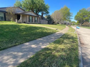 Jolanda S.'s Lawn Care service result