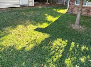 Philip F.'s Yard Cutting service result
