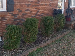 Weeding by Karlie Young for Kirsten N. in Midwest City, OK