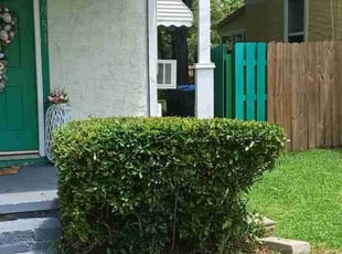 Bush Trimming by Jeffrey Handy for Shana G. in Augusta, GA