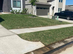 Ryan M.'s Lawn Mowing service result