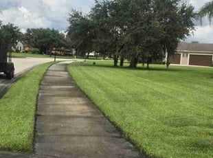 Tyler B.'s Yard Cutting service result