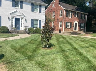 Michael S.'s Lawn Care service result