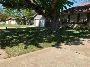 Renee R.'s Lawn Mowing Service service result