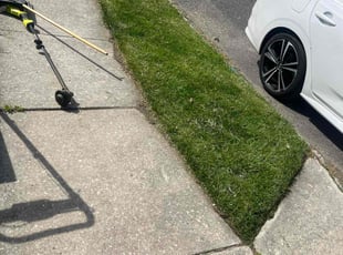 DaShawn E.'s Lawn Service service result