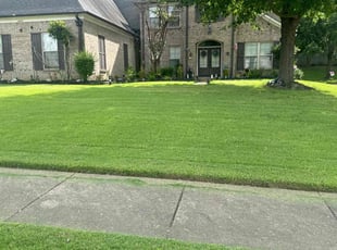 Jordan P.'s Lawn Service service result