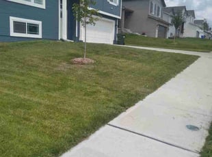 Sara C.'s Lawn Service service result