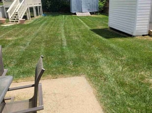 Earl V.'s Lawn Mowing service result