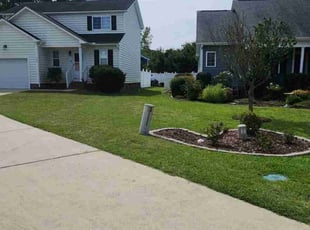Eliane A.'s Lawn Mowing service result