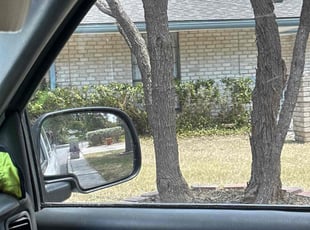 Bush Trimming by Lacy Dixon for Charles N. in San Antonio, TX