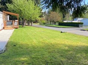 Sarah F.'s Lawn Mowing service result