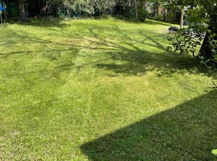 Russell A.'s Lawn Mowing service result