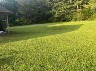 Gerardo J.'s Lawn Mowing service result