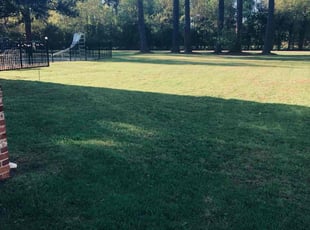 Rachael G.'s Lawn Service service result