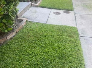 Lauren B.'s Lawn Mowing Service service result