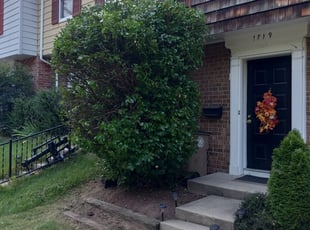 Bush Trimming by Michael Holland for LARA B. in Rockville, MD