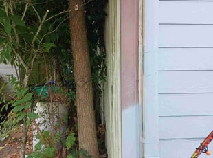 Bush Trimming by Brandon Hill for Julie S. in Portland, OR