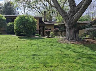 Elissa K.'s Lawn Mowing service result