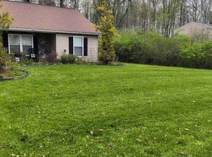 Bianca H.'s Grass Cutting service result