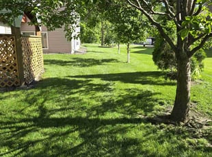 Richard T.'s Lawn Service service result