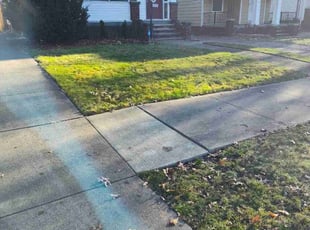 Leaf Removal by Rayshawn Martin for Sheila M. in Cleveland, OH