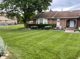 Moe M.'s Lawn Mowing Service service result