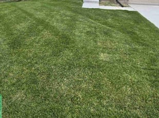 Christina B.'s Lawn Care service result